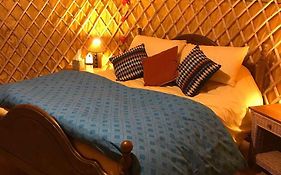 Mcclure Yurt At Carrigeen Glamping